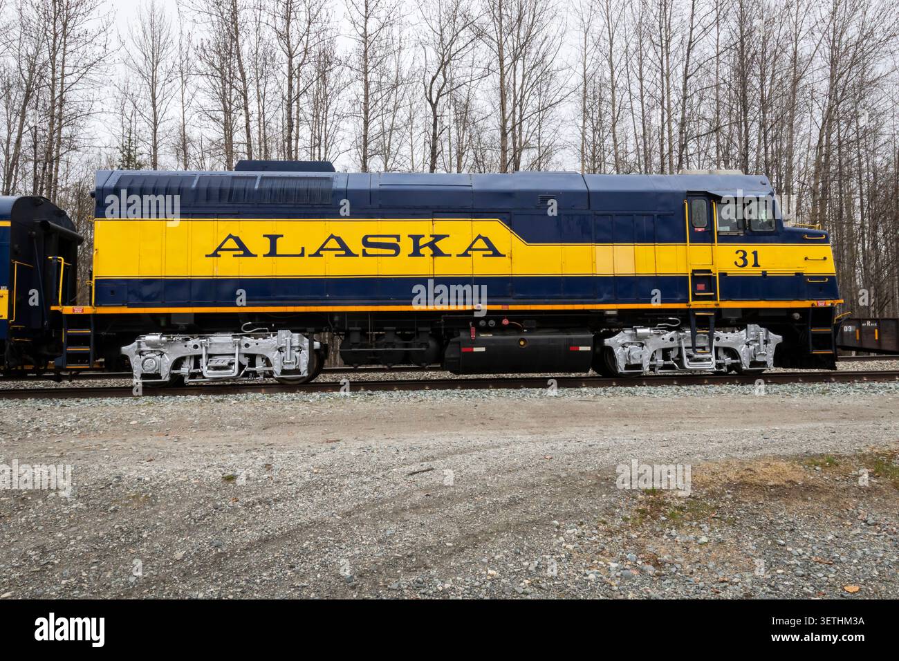 Alaska Railroad No. 31 è un'unità F40PH ex-Amtrak ristrutturata che funge da unità di controllo non alimentata (NPCU) e da generatore HEP (Head End Power). Foto Stock