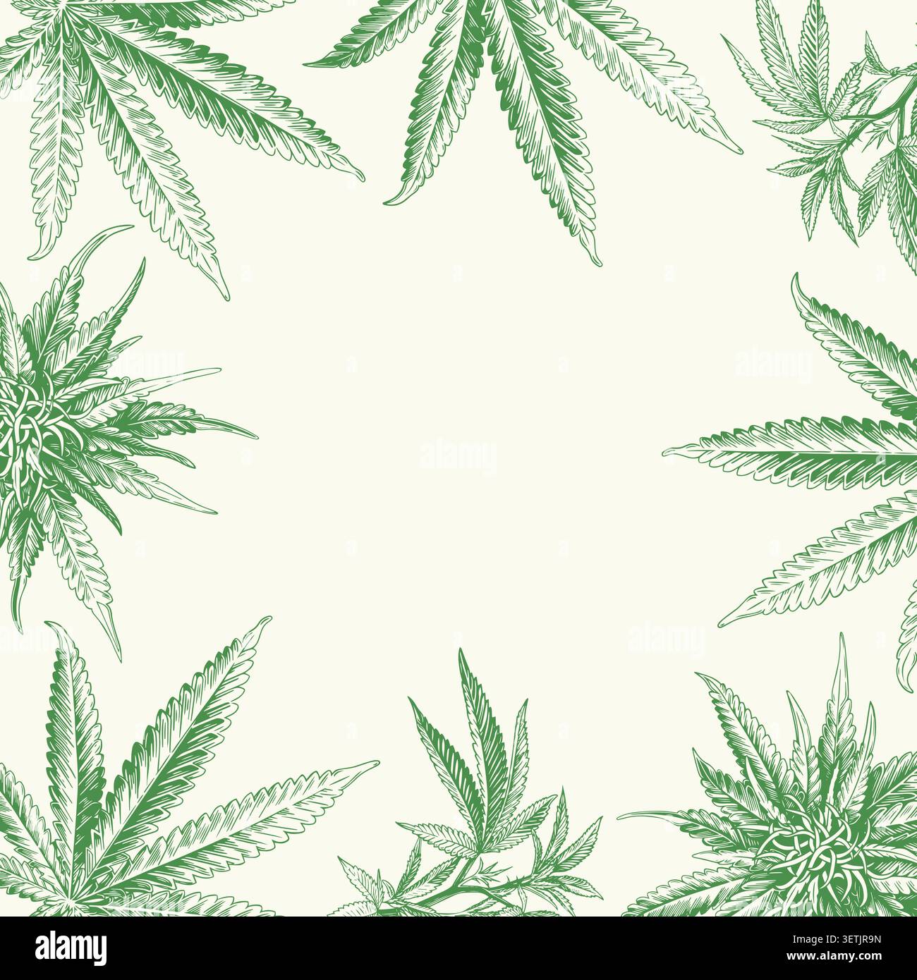 Background cannabis medica. Design del telaio dello schizzo della pianta di marijuana Illustrazione Vettoriale
