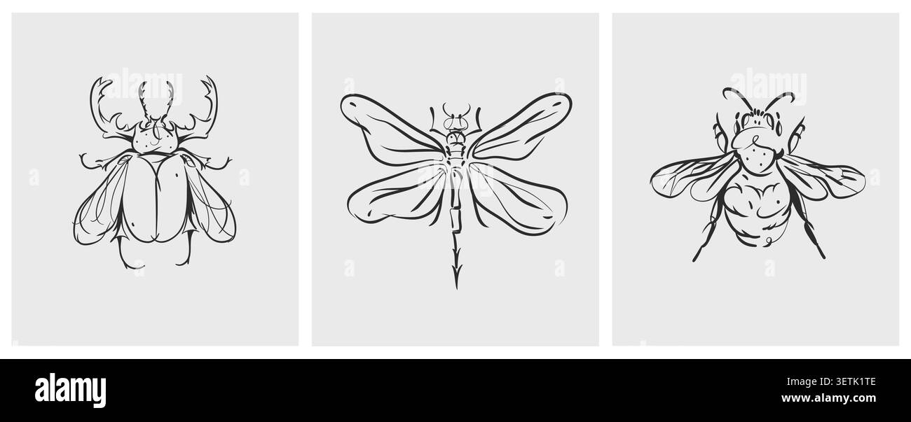 Collezione di illustrazioni grafiche vettoriali astratte disegnate a mano con un grazioso schizzo di insetti stilizzati.Concept sketch di design moderno e dalla natura selvaggia Illustrazione Vettoriale