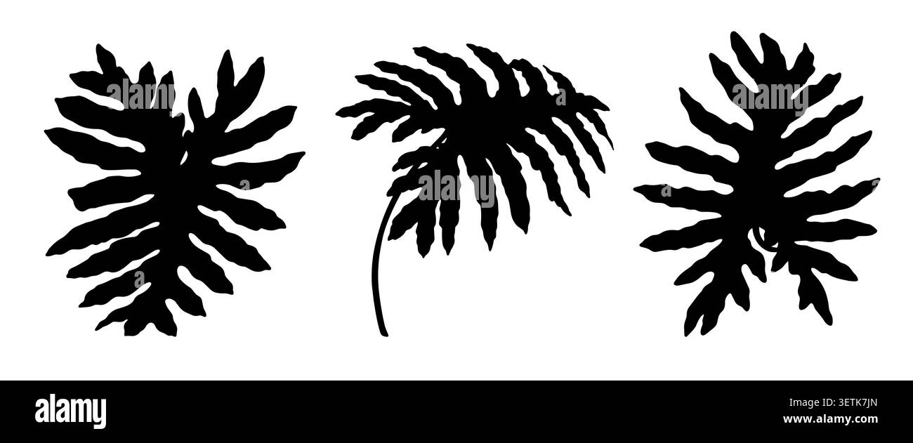 Set di silhouette Vector Philodendron Selloum con foglie tropicali. Elemento botanico bianco e nero disegnato a mano con forma decorativa. Design flora per modello icona logo. Collezione naturale per l'arte dei francobolli. Illustrazione Vettoriale