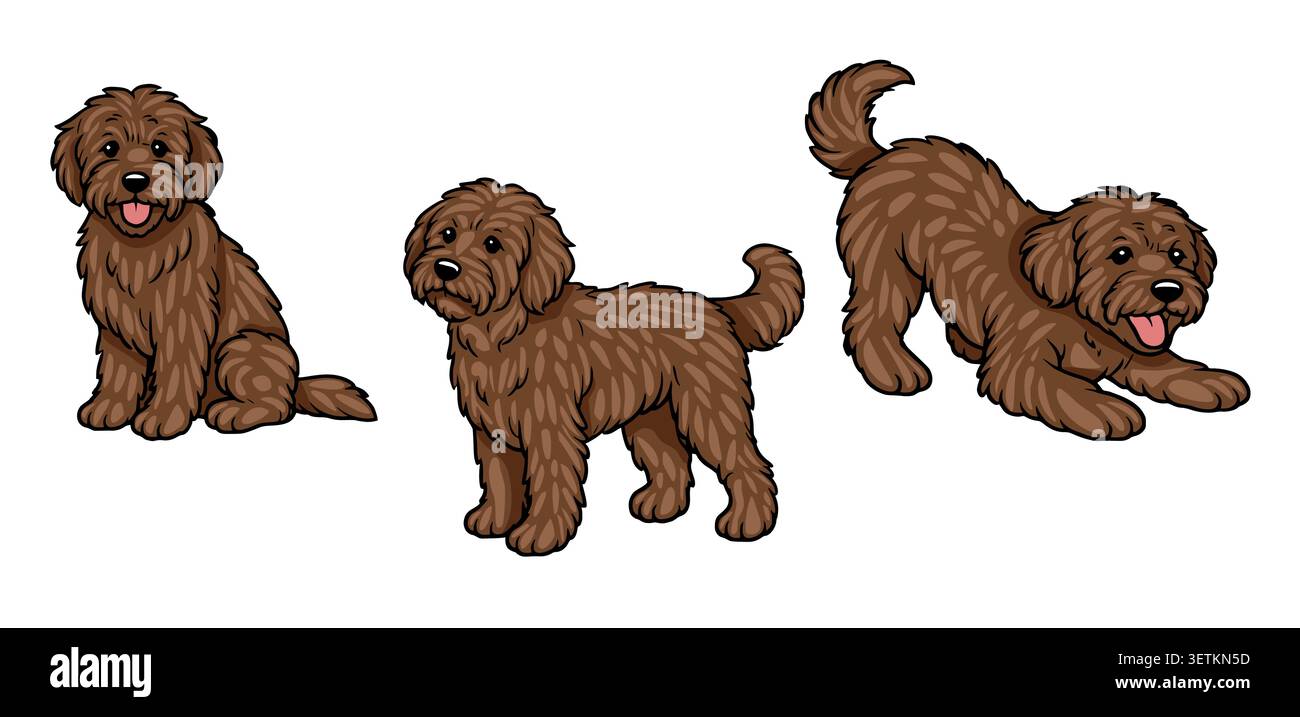 Set di tre adorabili illustrazioni brune di cani da doodle in diverse pose: Seduto, in piedi e giocando, vettoriale Illustrazione Vettoriale