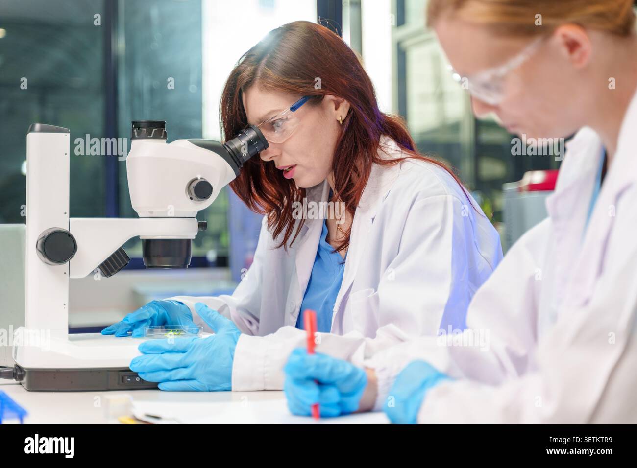 Due donne scienziate in camici da laboratorio si concentrano sulla ricerca utilizzando un microscopio e prendendo appunti per il loro studio in un laboratorio moderno. Foto Stock