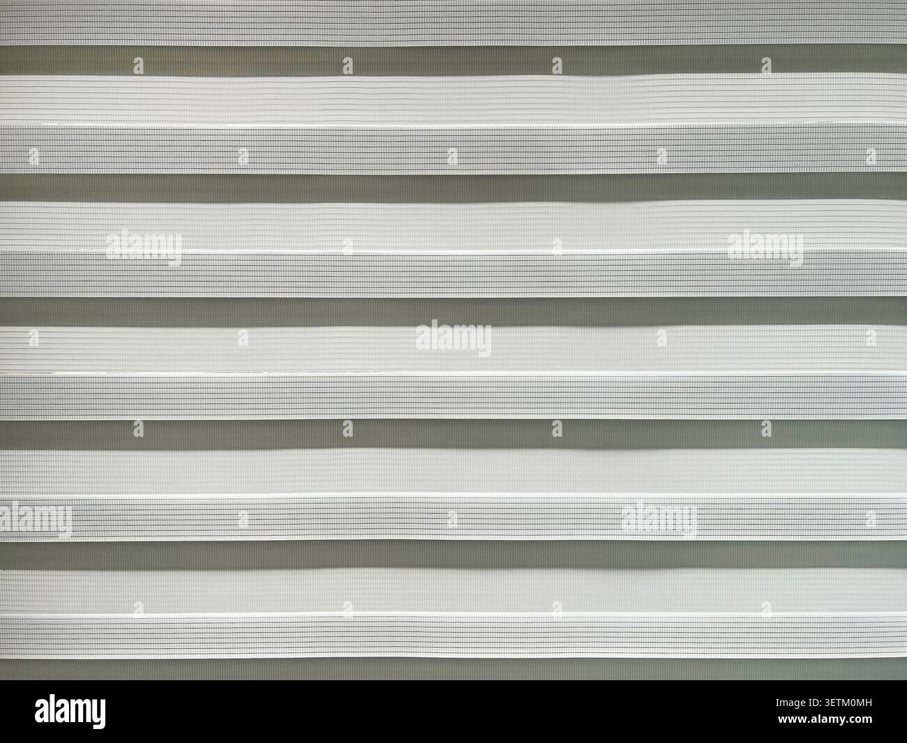 Primo piano delle moderne tende a rullo zebra con strisce alternate in tessuto trasparente e opaco. Sfondo minimalista della copertura della finestra per interni de Foto Stock