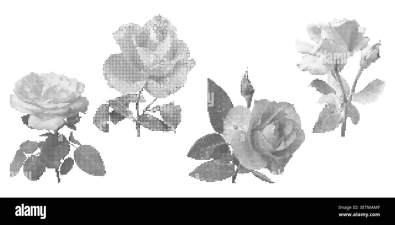 Collage con texture a punti mezzitoni retrò con fiore di rosa Illustrazione Vettoriale