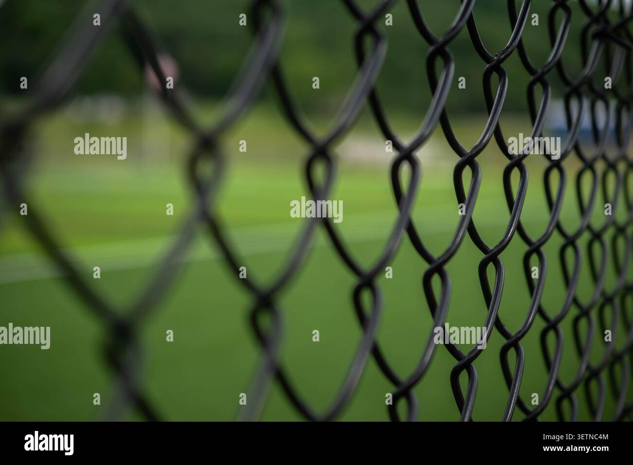 Campo da calcio Immagine a fuoco selettivo dello sport di squadra, profondità d'ombra del campo, sfondo perfetto Foto Stock