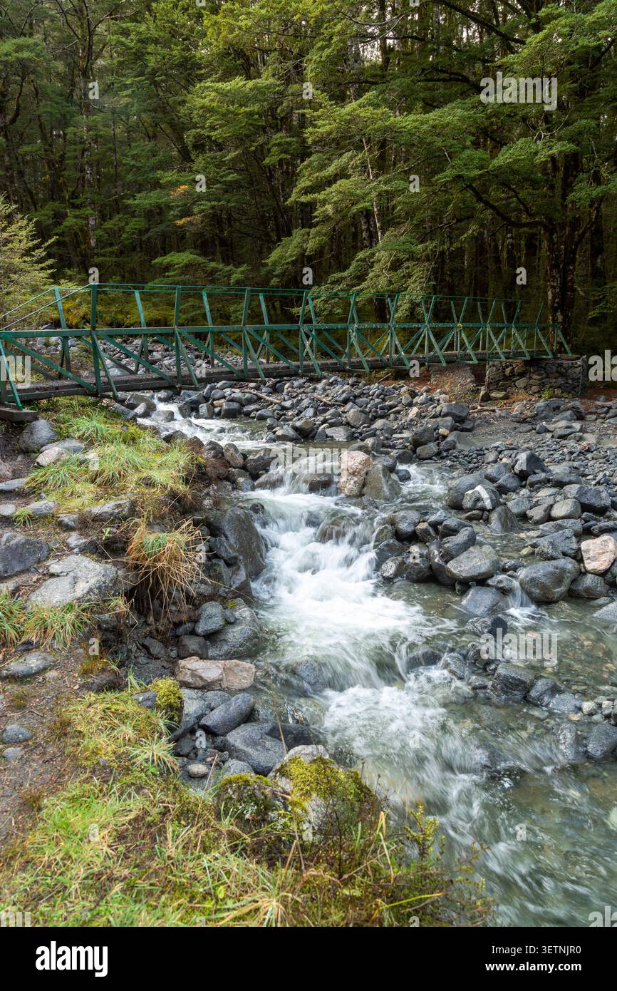 Un ponte su Iris Burn, camminando sul Kepler Great Walk tra la Rifugio Moturau e la Rifugio Iris Burn vicino a te Anau, Isola del Sud, nuova Zelanda Foto Stock