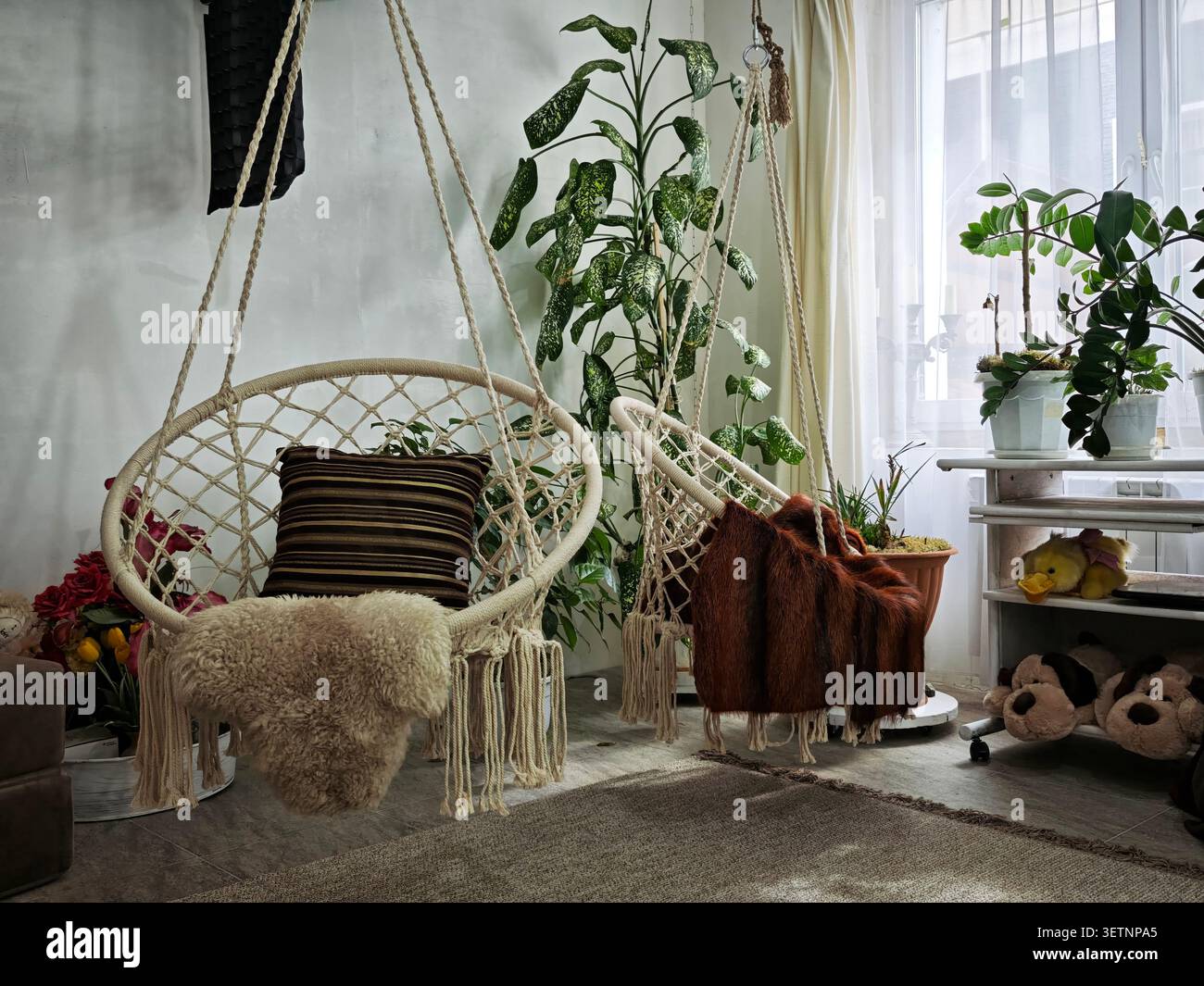 Due sedie sospese si trovano in una stanza luminosa piena di piante e oggetti decorativi. Lo spazio sembra invitante e confortevole. Foto Stock