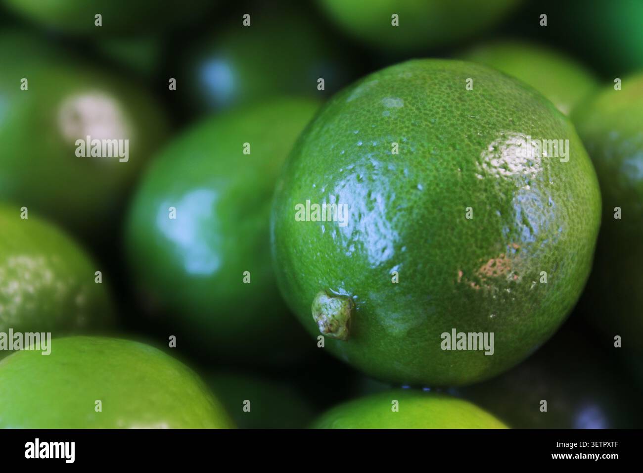 Primo piano di più lime chiave (agrumi x aurantiifolia) con qualche goccia d'acqua sopra di loro. Concetto: Frutta, agrumi, calce messicana, calce indiana occidentale Foto Stock