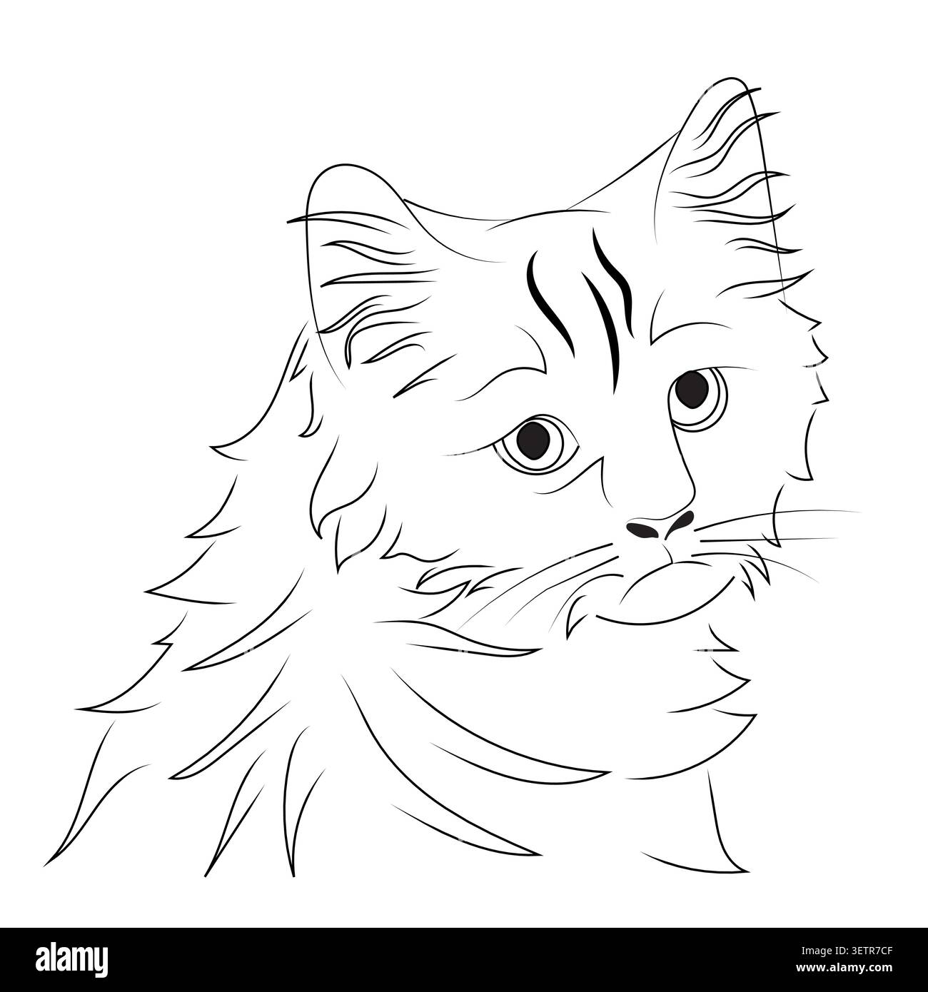 La testa di un gatto triste in uno stile lineare. Illustrazione vettoriale isolata su sfondo bianco. Illustrazione Vettoriale
