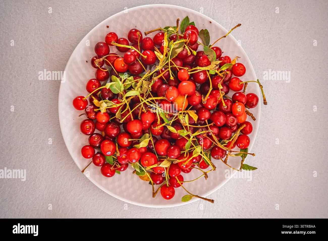 Una grande quantità di ciliegie rosse mature. Foto Stock