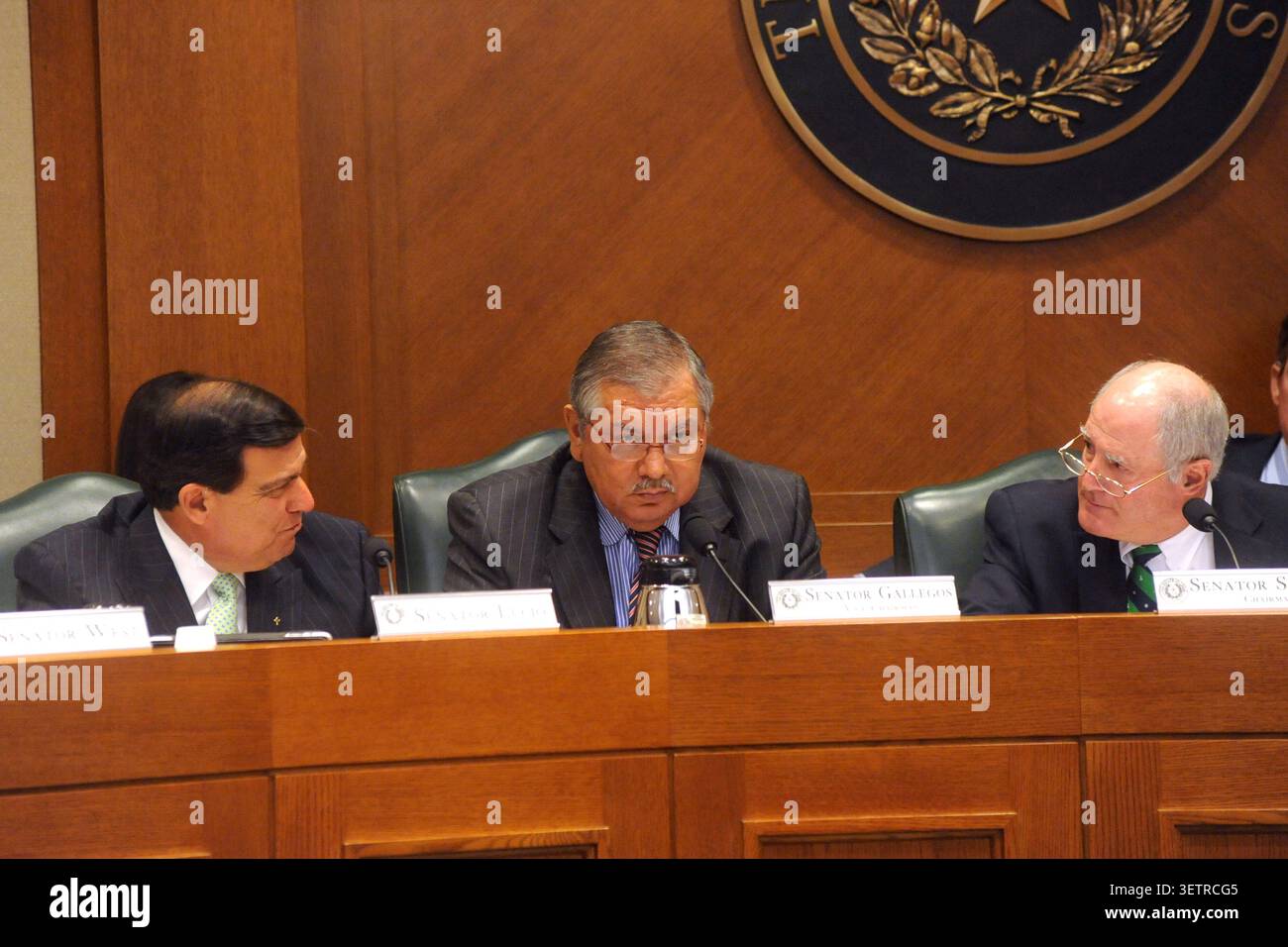 Texas Senate Select Committee on Redistricting Audience, Austin, Texas, 3 giugno 2011. (Foto di John Anderson/The Austin Chronicle) Foto Stock