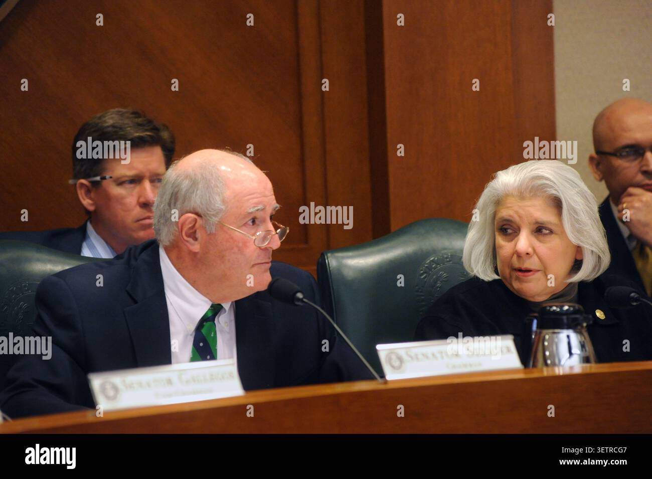 Texas Senate Select Committee on Redistricting Audience, Austin, Texas, 3 giugno 2011. (Foto di John Anderson/The Austin Chronicle) Foto Stock