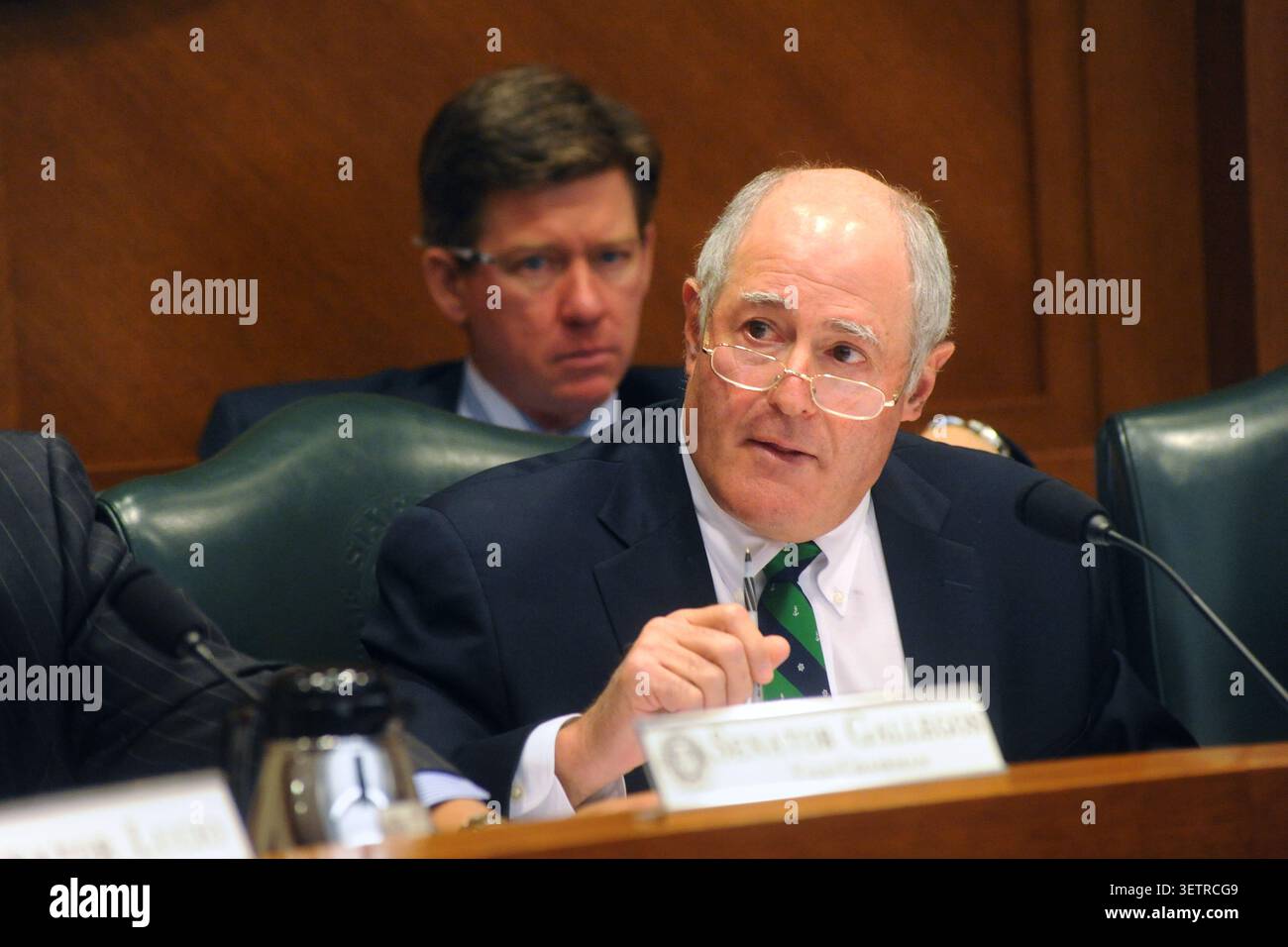 Il senatore Kel Seliger sta parlando durante un'audizione di riorganizzazione, Austin, Texas, 3 giugno 2011. (Foto di John Anderson/The Austin Chronicle) Foto Stock