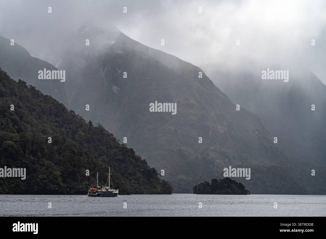 Tour in barca passando per le ripide scogliere boscose e le cime nebbiose di Doubtful Sound a Fiordland. Foto Stock