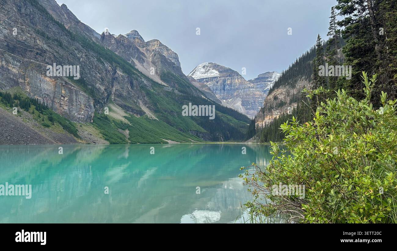 Vista panoramica delle acque turchesi del lago Louise, circondato dalle Montagne Rocciose canadesi e dai lussureggianti pini verdi, il Parco Nazionale di Banff, Alberta, - Immagine stock catturata con smartphone