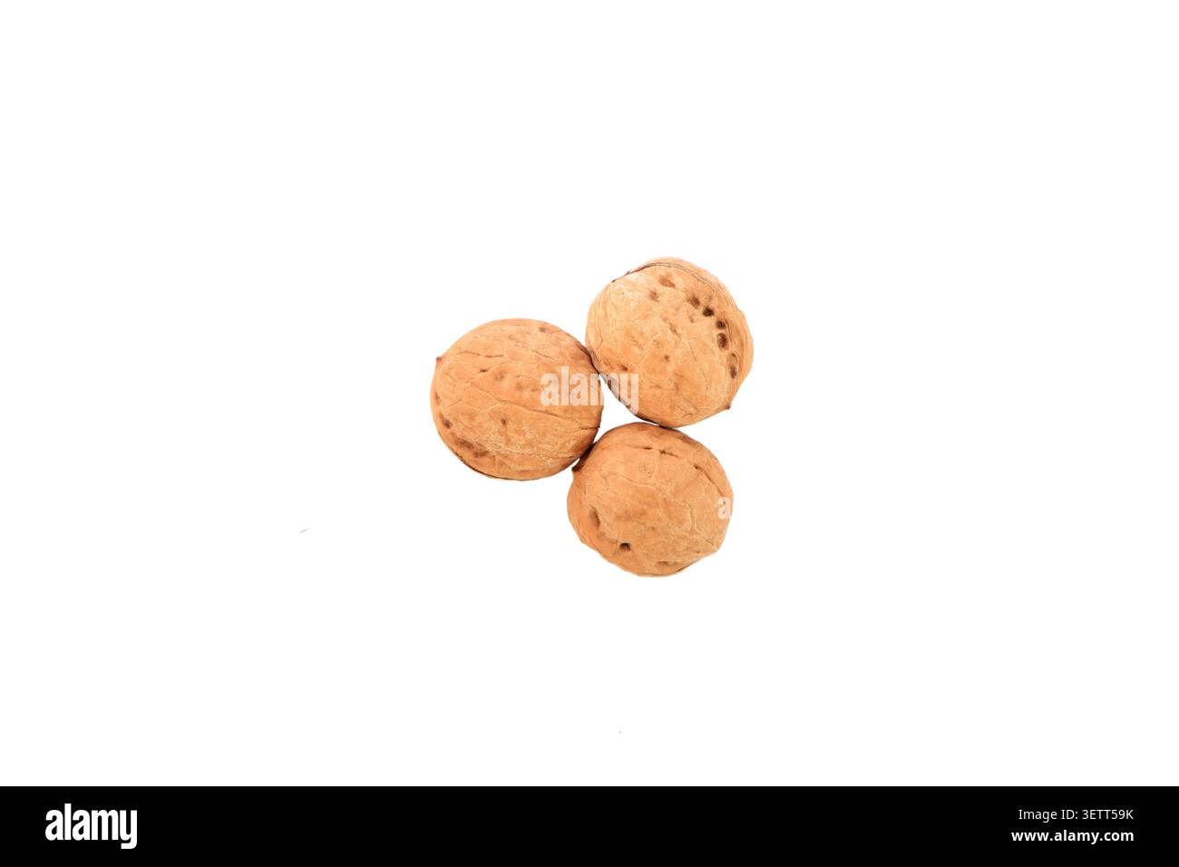 Tre noci intere con gusci marroni caldi e testurizzati sono raggruppate insieme su uno sfondo grigio chiaro chiaro chiaro chiaro chiaro chiaro chiaro chiaro chiaro chiaro chiaro chiaro, che ne mette in risalto la naturale natura Foto Stock