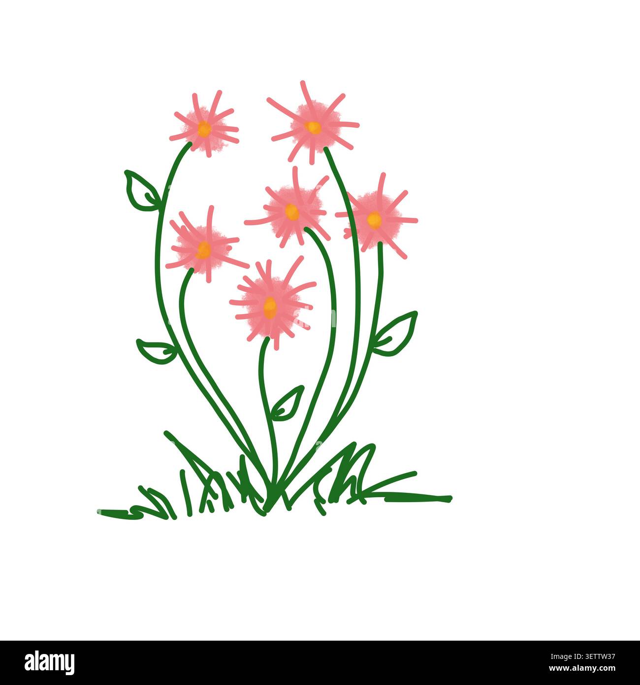 Graziosa illustrazione disegnata a mano di un gruppo di fiori selvatici rosa a margherita con steli verdi, piccole foglie e erba alla base. Uno stile a doodle carino. Foto Stock