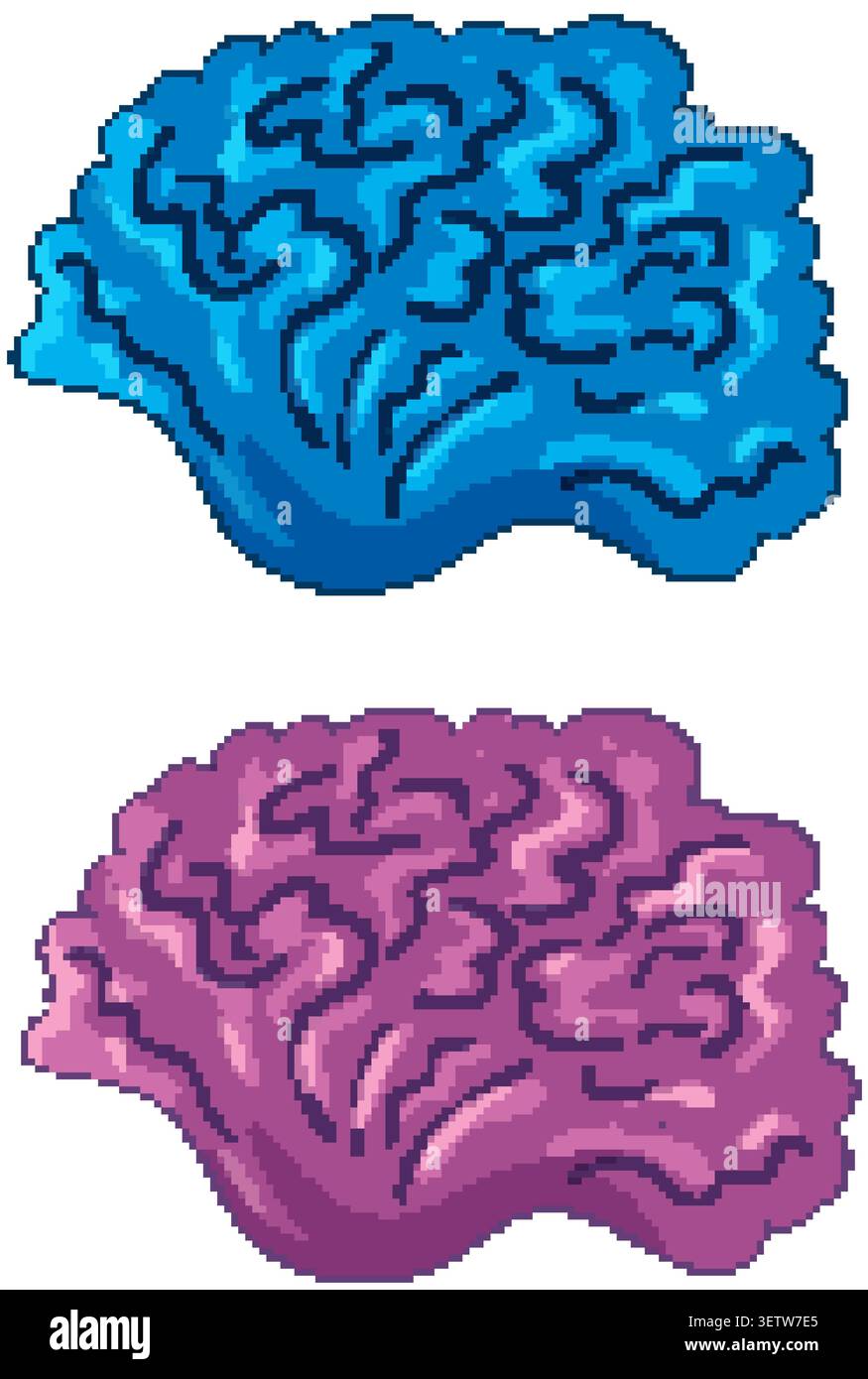 Due icone stilizzate del cervello umano nei colori blu e rosa con stile cartoon line art Illustrazione Vettoriale