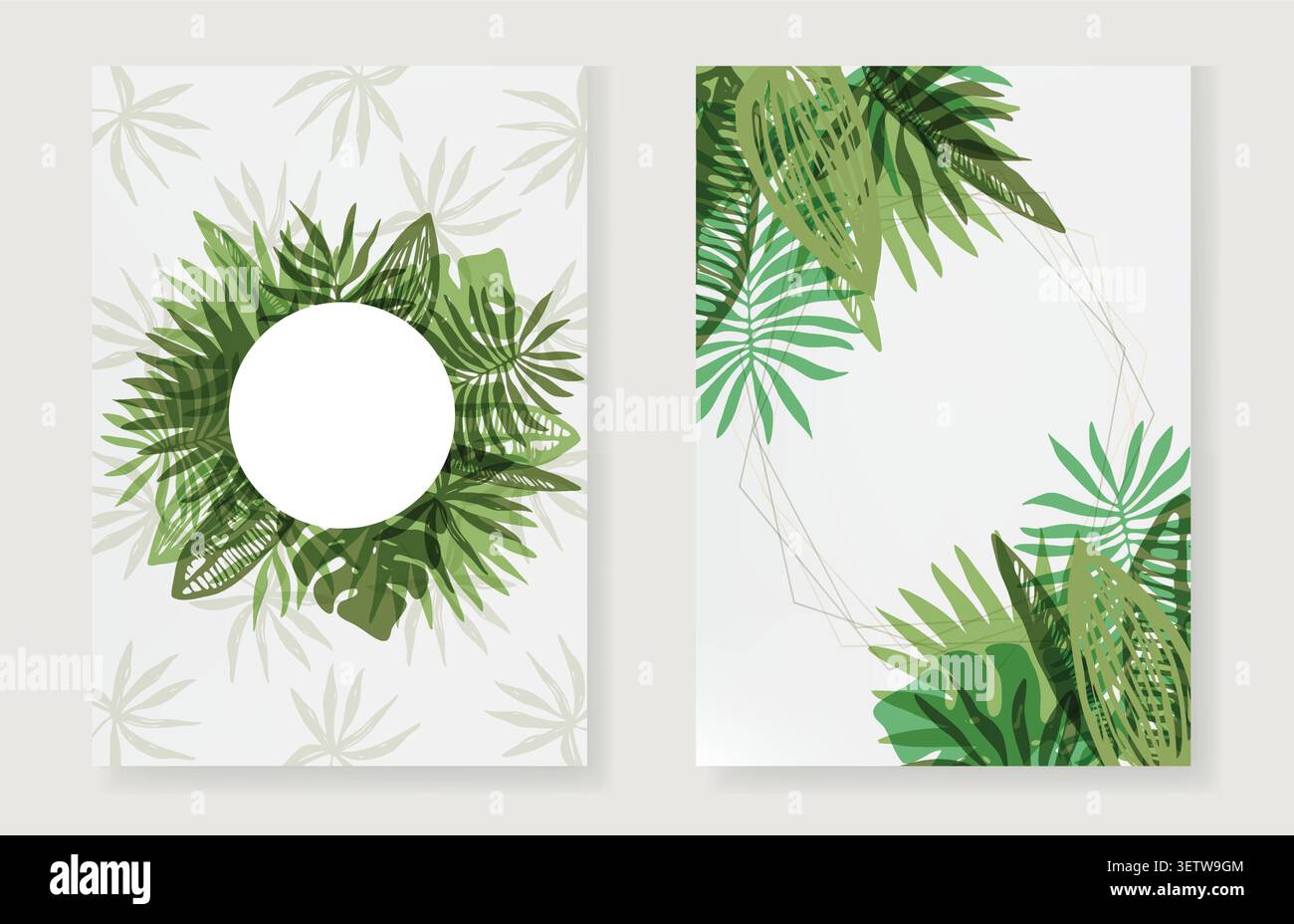 Set di eleganti cornici verdi di foglie tropicali Illustrazione Vettoriale