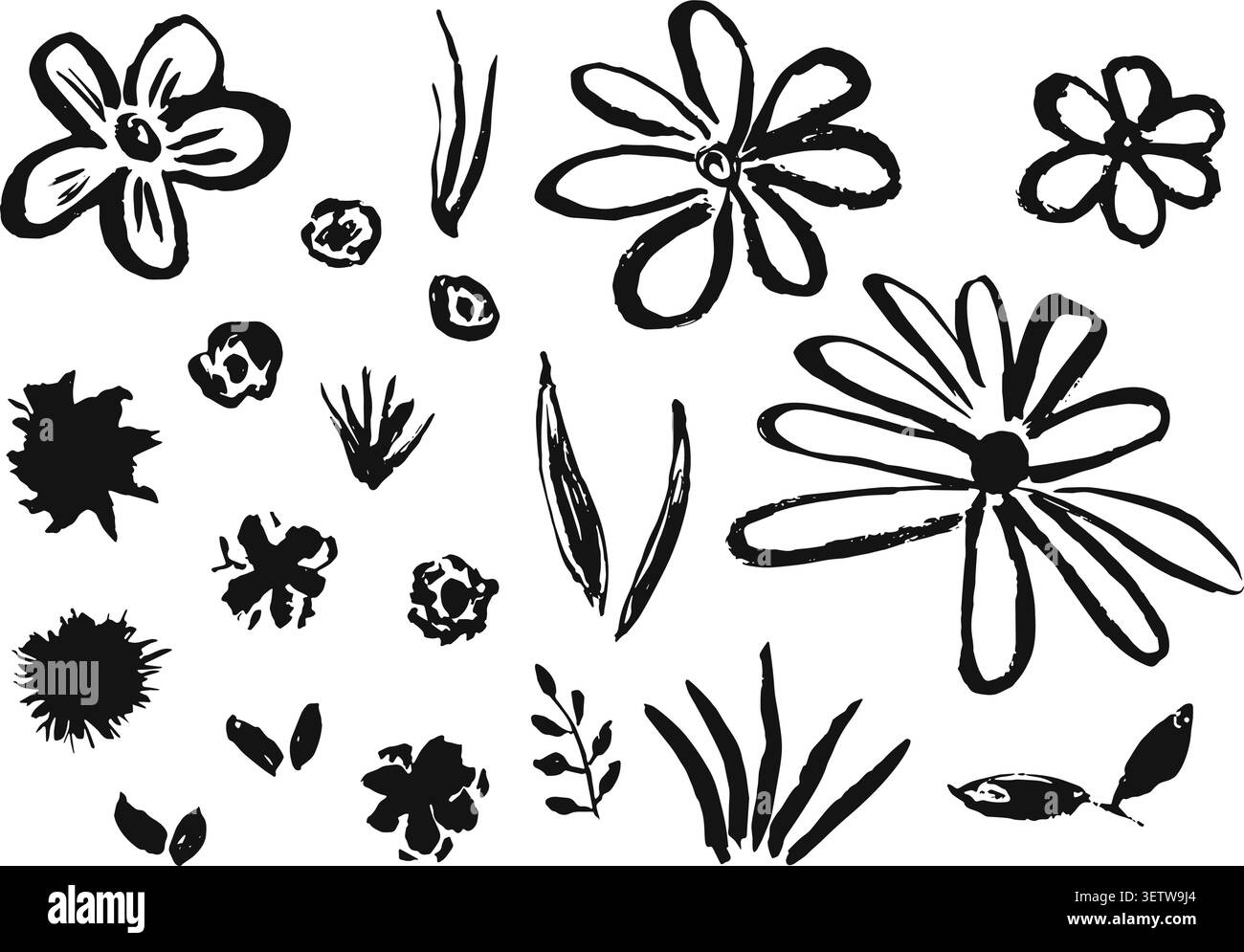 Set di fiori d'inchiostro e erba disegnati a mano Illustrazione Vettoriale