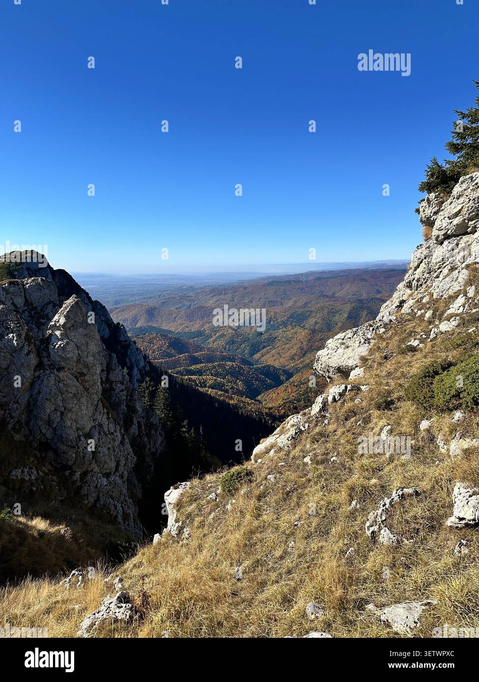 Splendido paesaggio in Romania - Parco Nazionale Buila-Vanturarita Foto Stock