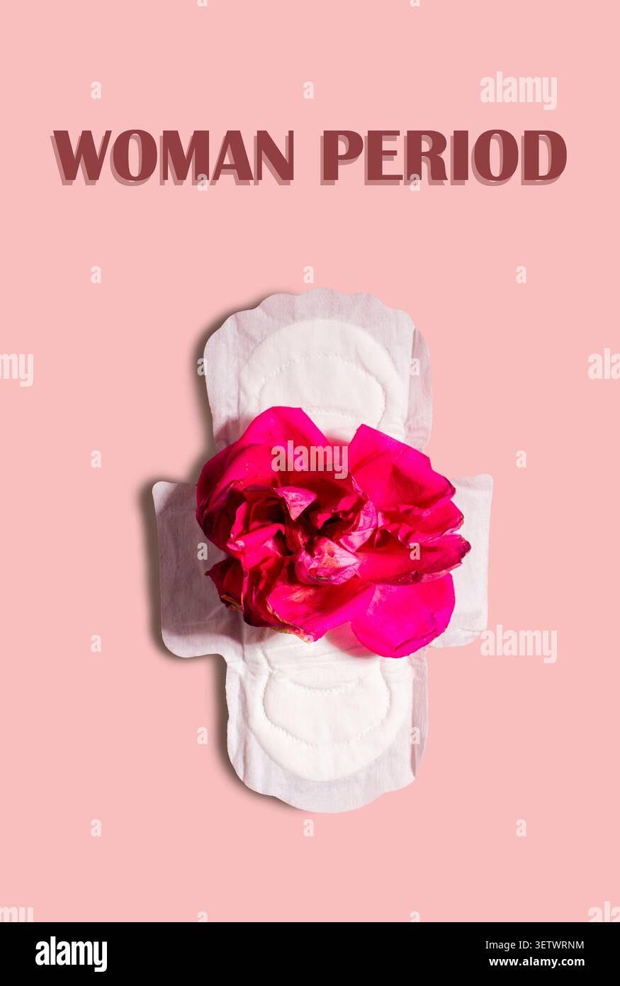 Cuscinetto mestruale con fiore di rosa su sfondo rosa. Ciclo mestruale, igiene della donna e concetto di comfort Foto Stock