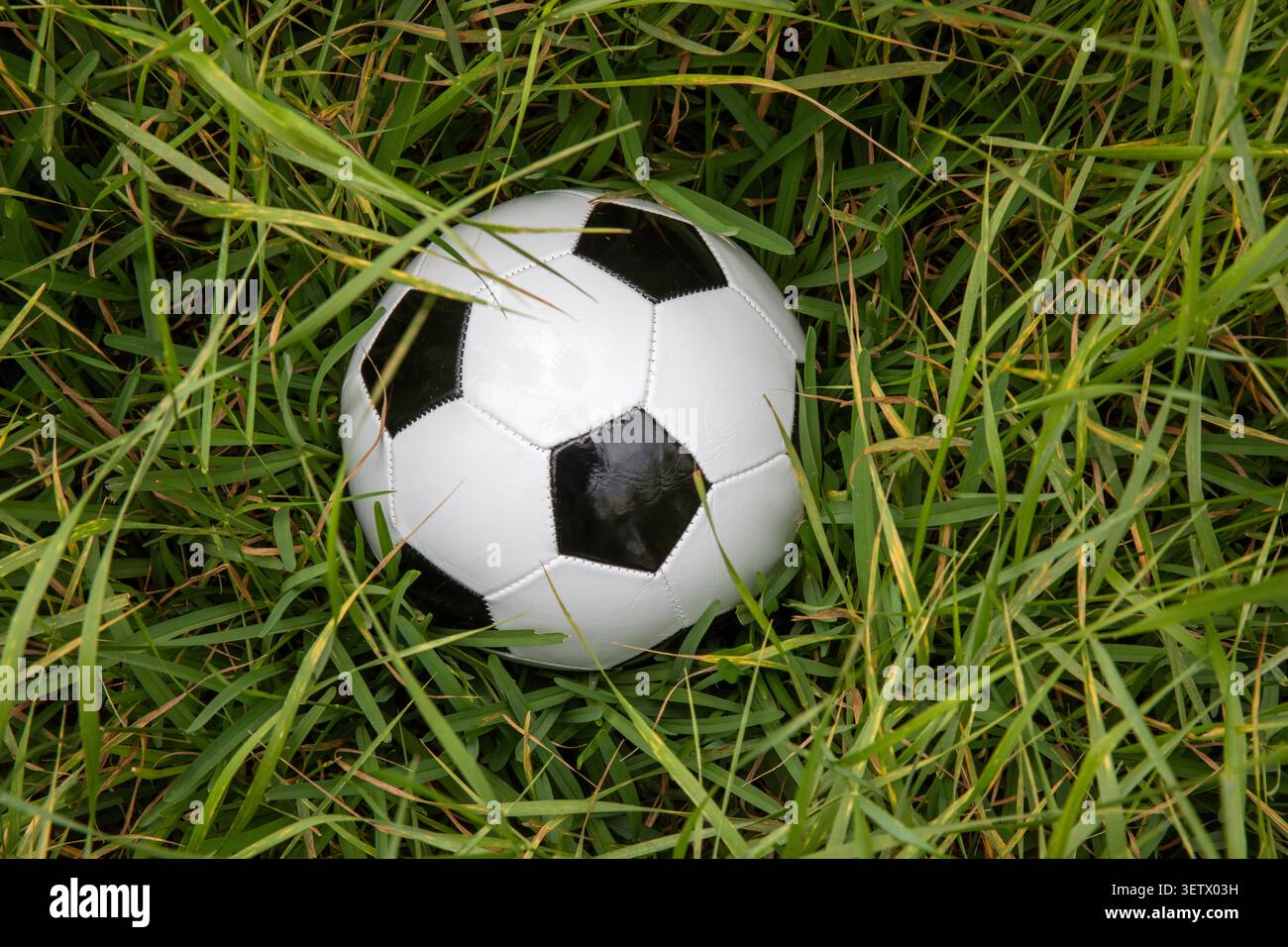 Tradizionale pallone da calcio bianco e nero perso nell'erba alta Foto Stock