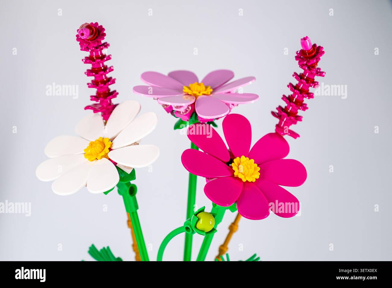 Lettonia, Jurmala - 20.06.2026: LEGO Cosmos Flowers. Diversi tipi di fiori realizzati in blocchi di plastica si posizionano insieme su uno sfondo semplice Foto Stock