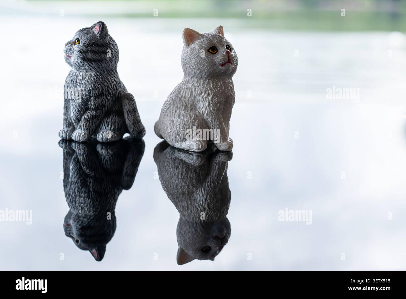 Chiang mai, Tailandia - 22 giugno 2026: Statuette di gatto grigio scuro e grigio chiaro sedute dietro le spalle su superficie riflettente con fondo serbatoio Foto Stock