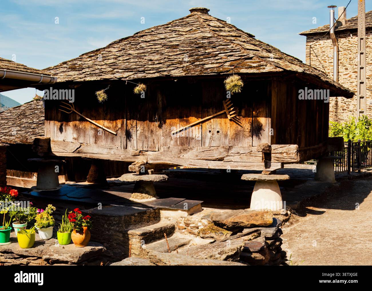 Memoria rurale elevata — artigianato ancestrale conservato in un granaio di legno rialzato (Asturias, Spagna: 22-ago-2019) Foto Stock