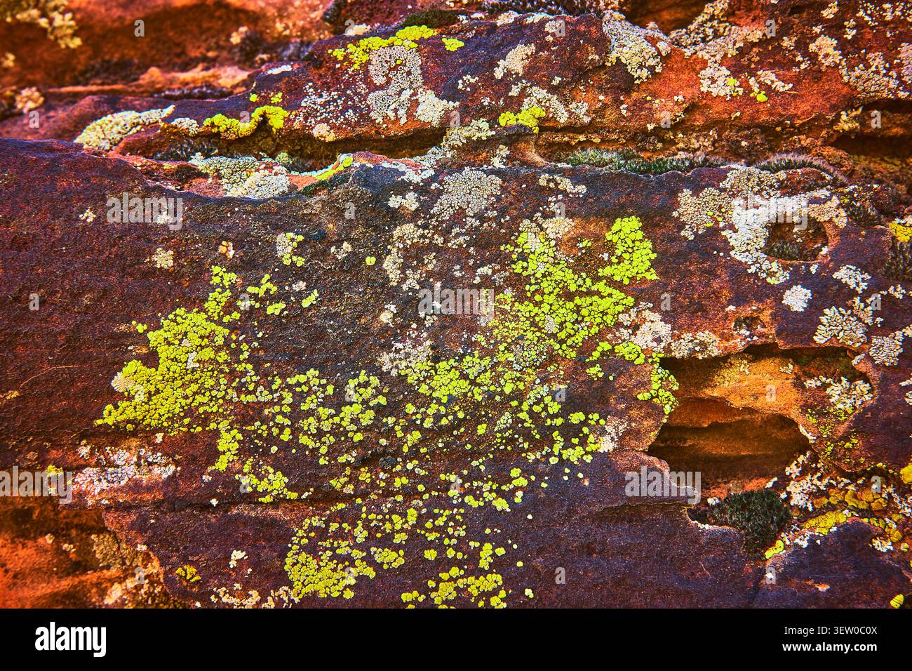 Primo piano sulla texture Red Rock con lichene e muschio e dettagli naturali Foto Stock
