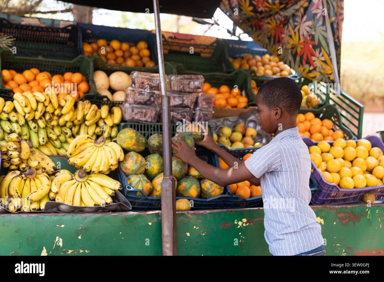 Il ragazzo africano esamina attentamente una papaya alla banchina del mercato, come se stesse scegliendo la più matura e migliore tra i cesti di banane, arance e o Foto Stock