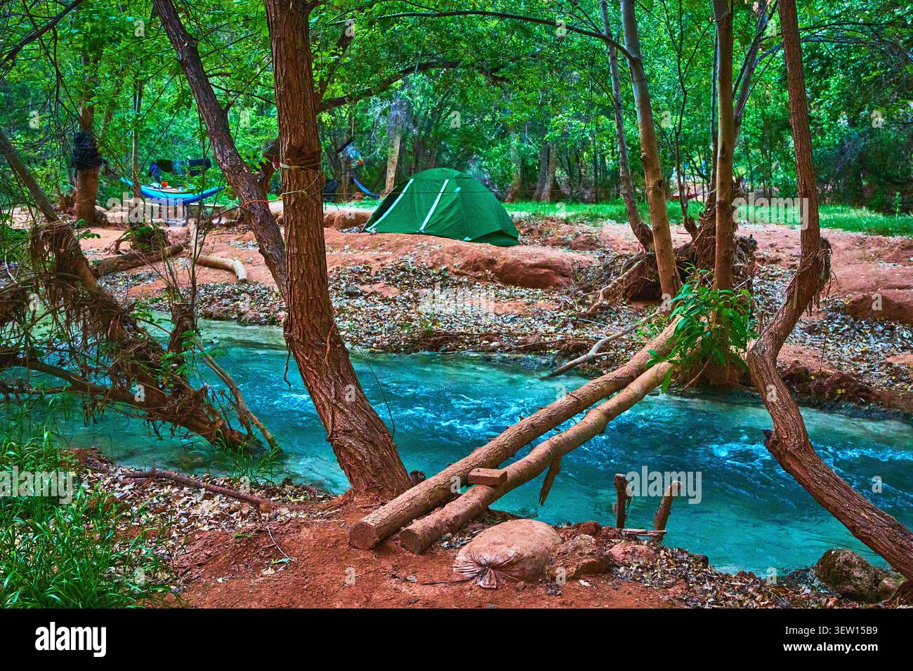 Ponte in legno sul Blue Creek con tenda e amaca nel campeggio boschivo Foto Stock