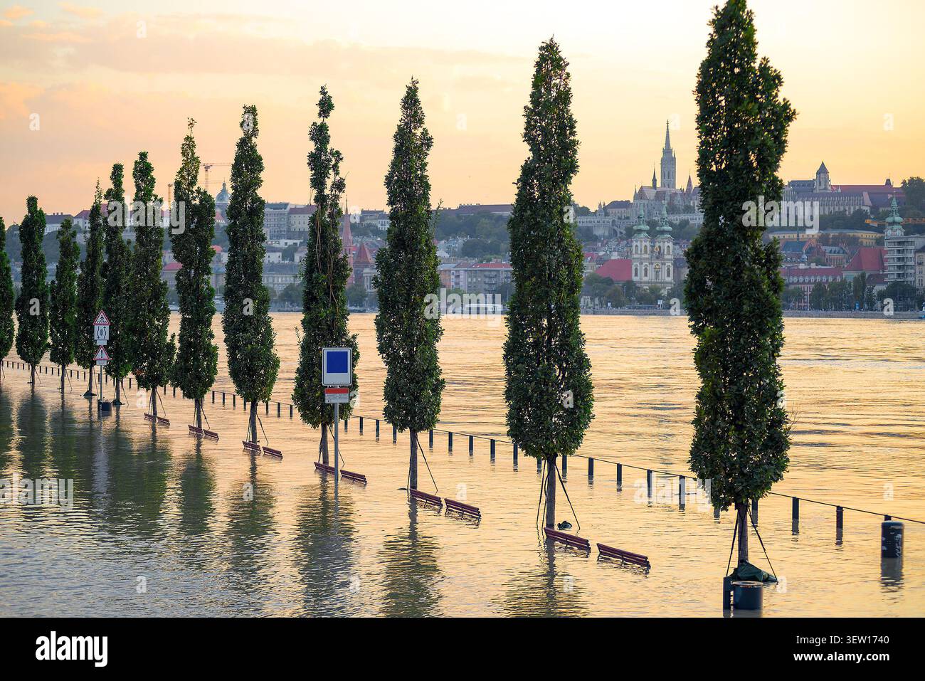 Fila di alti alberi in un Danubio inondato con vista su Budapest Foto Stock