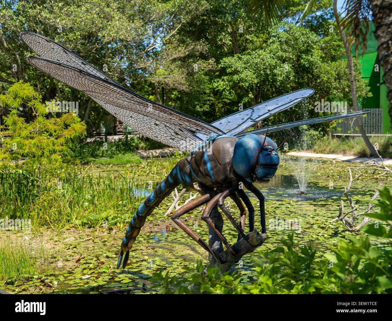 Miami, Florida, USA - 21 agosto 2026: Grande scultura blu artificiale di libellule posizionata sopra i tappetini del giglio all'interno dello stagno poco profondo dello Zoo Miami. Foto Stock