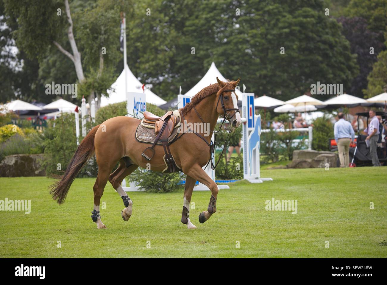 Un cavallo e un cavaliere affrontano un enorme ostacolo durante il prestigioso Derby al Shira'aa del 2026 presso l'iconica vetrina di Hickstead. Foto Stock