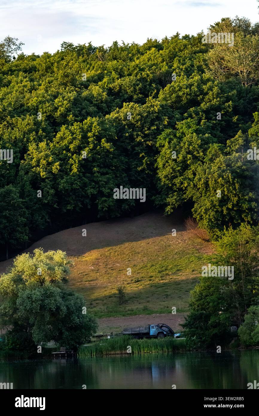 Alberi torreggianti ricoprono una collina sopra il lago, mentre un camion blu attende all'ombra macchie di sole tracciano il pendio e la scena respira con quie rurale Foto Stock