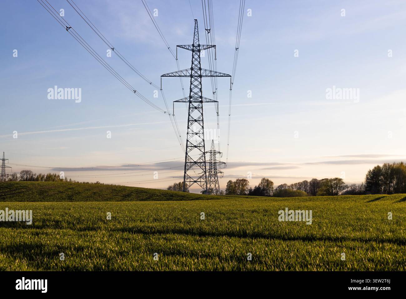 Linee elettriche ad alta tensione in un campo rurale al tramonto Foto Stock