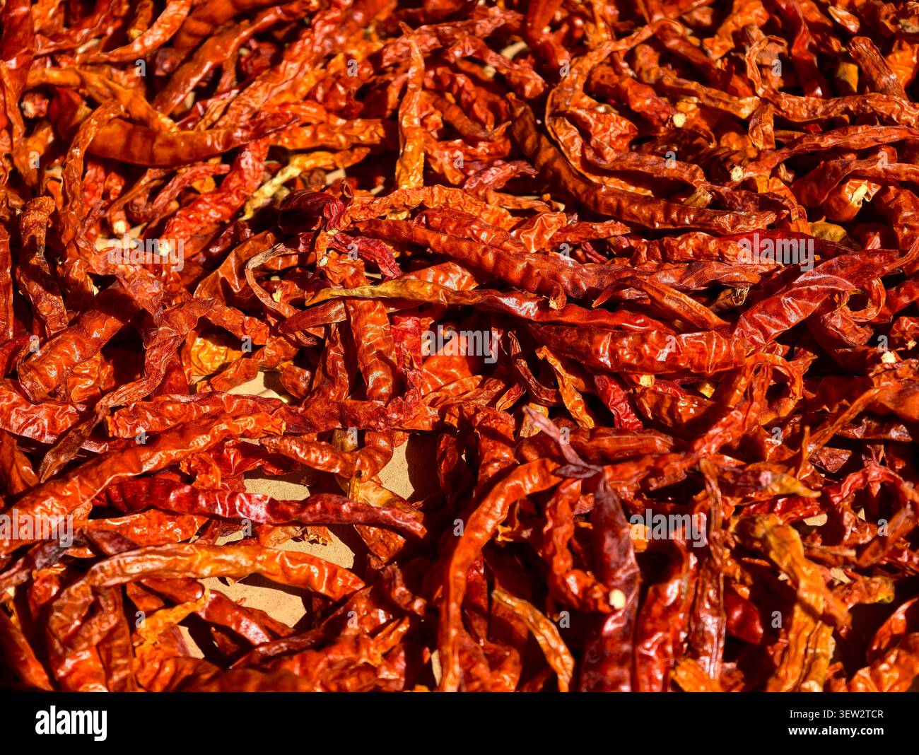 Cornice completa di peperoncino rosso essiccato al sole sullo sfondo Foto Stock