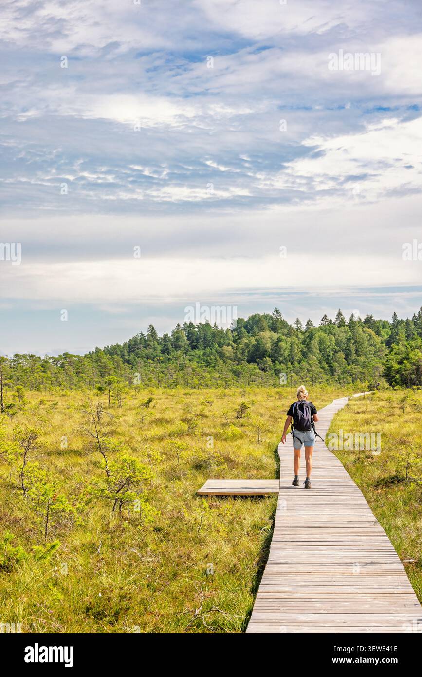 Sentiero per passeggiate su una palude che una donna fa trekking da sola in estate Foto Stock
