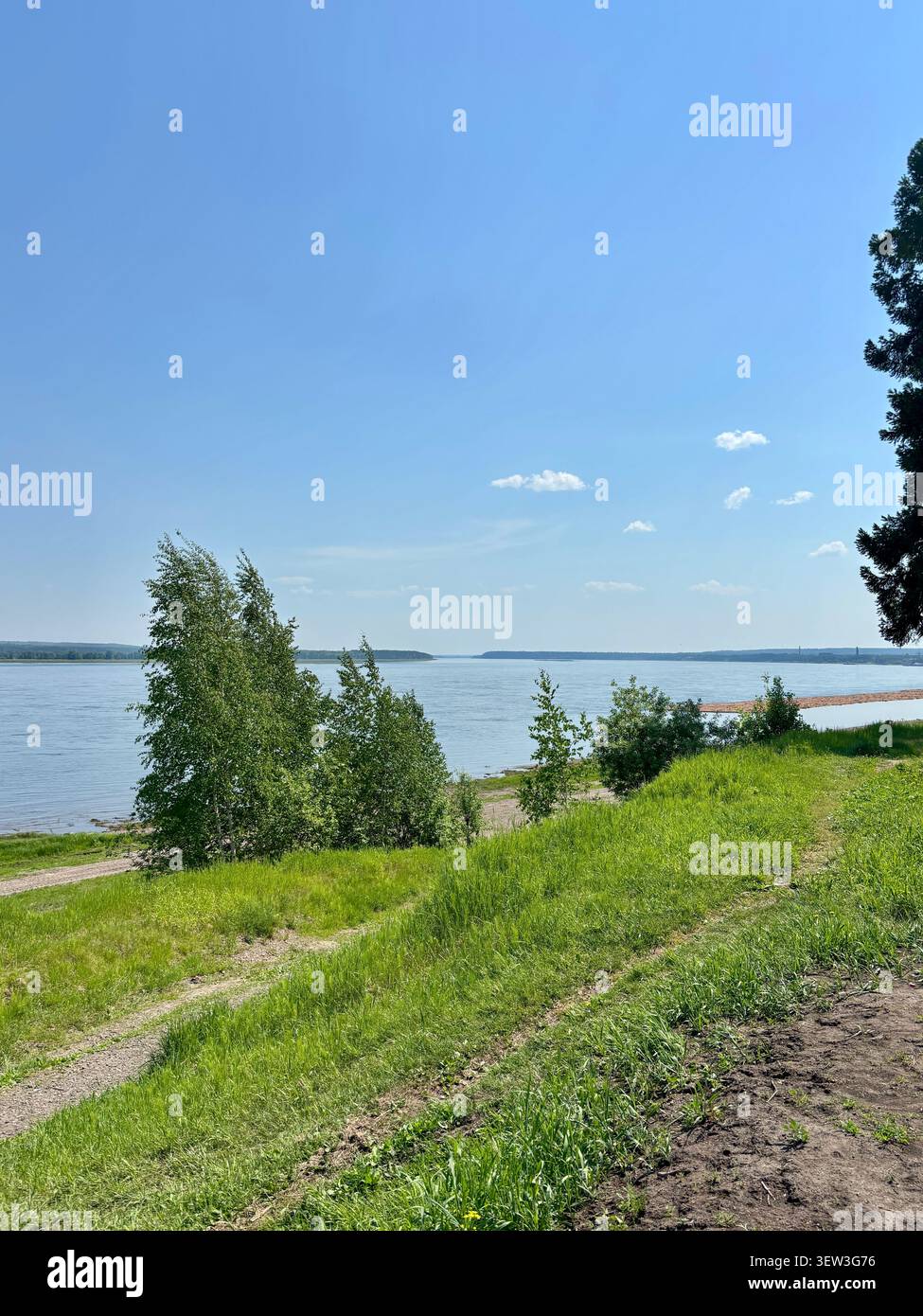 LESOSIBIRSK, RUSSIA - GIUGNO 2026: Soleggiato paesaggio estivo del fiume Yenisei con alberi di betulla e zattera di legname in Siberia per l'editoriale di viaggio - Immagine stock catturata con smartphone