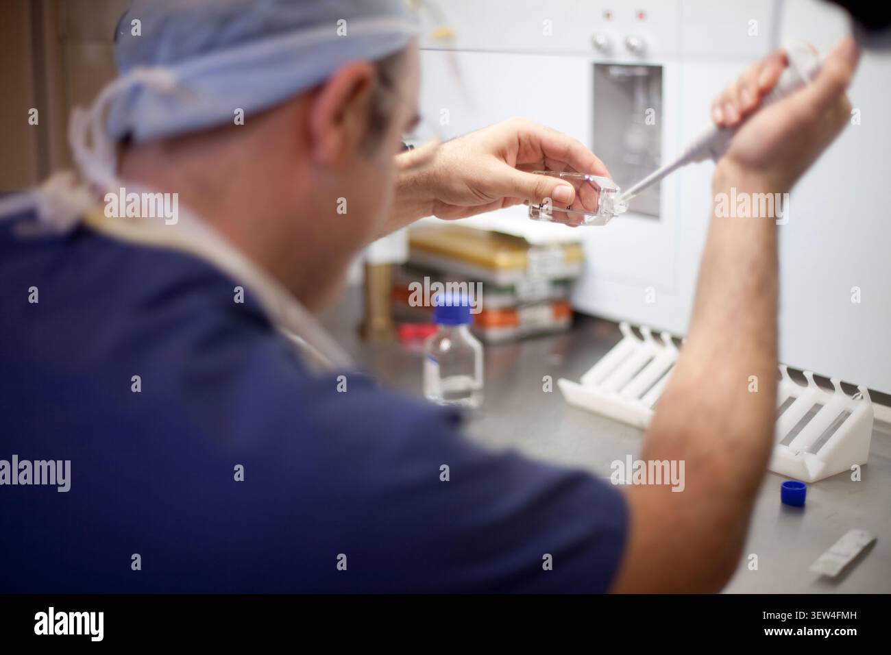 Scienziato con berretto da laboratorio che versa un mezzo di coltura in una flask T con una micropipetta. Ricerca sulle cellule staminali, tecnica della cappa sterile e biopharma. Foto Stock