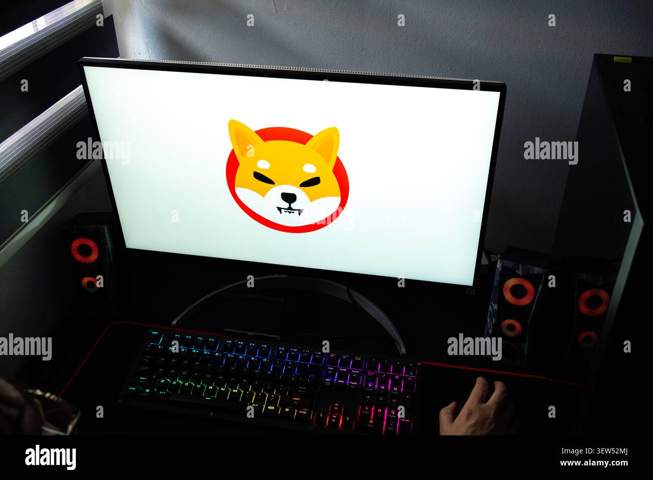 Una persona a una scrivania con il logo della criptovaluta Shiba Inu (SHIB) visualizzato su un monitor del computer Foto Stock