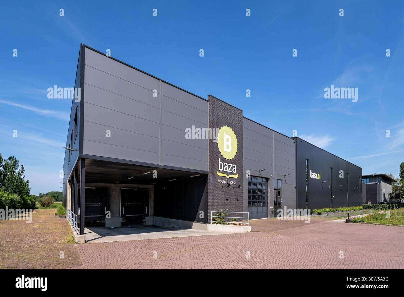 L'ufficio e la sede di produzione di Baza Seeds ad Alkmaar, Paesi Bassi Foto Stock