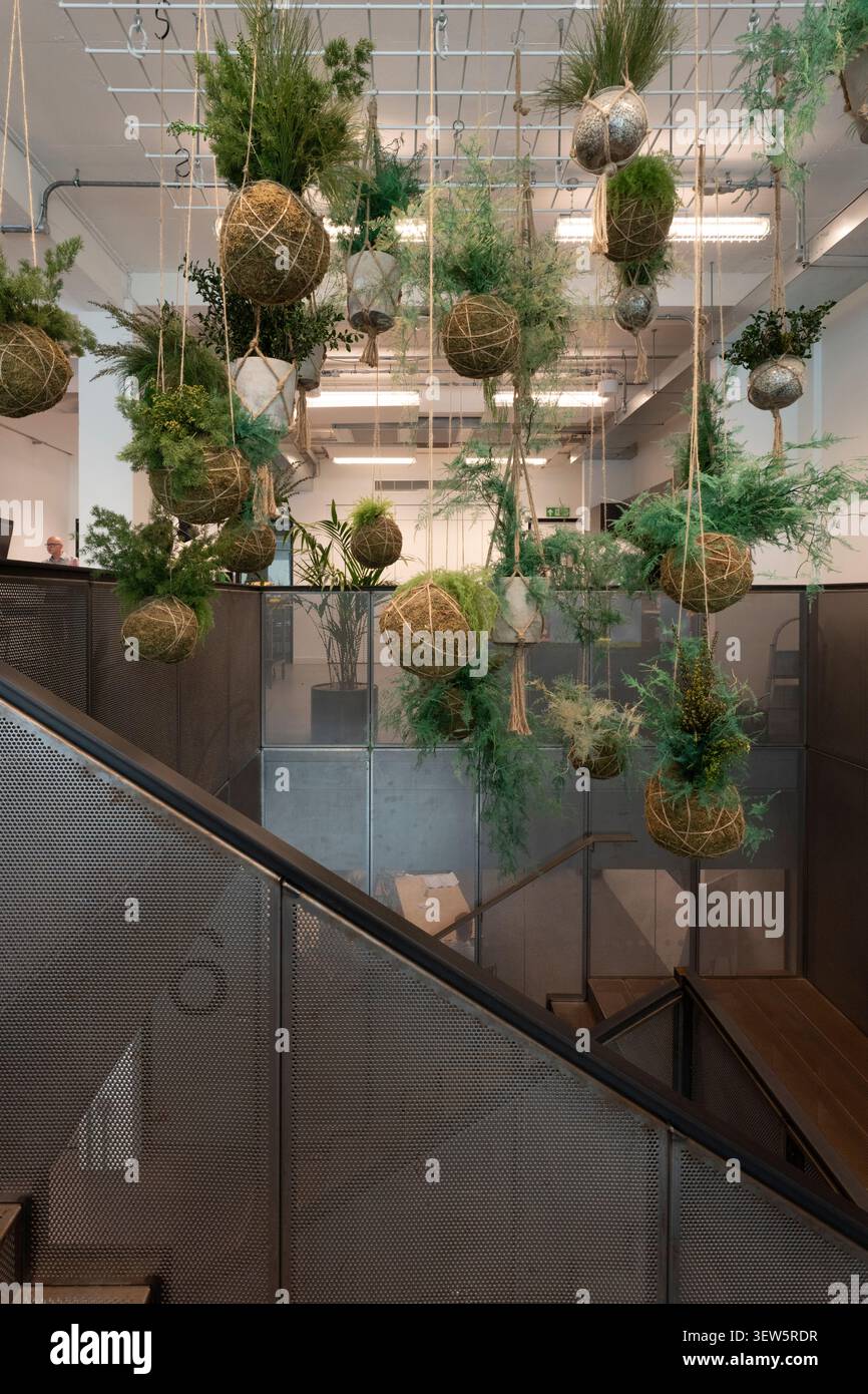 Le piante di Kokedama sono appese sopra la scala del Society Building Fitzrovia per creare uno spazio di lavoro biopfilo. Foto Stock