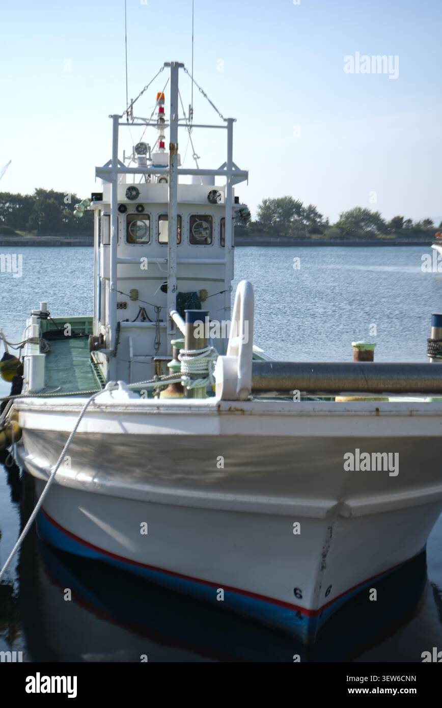 Barca pescatrice al molo Foto Stock
