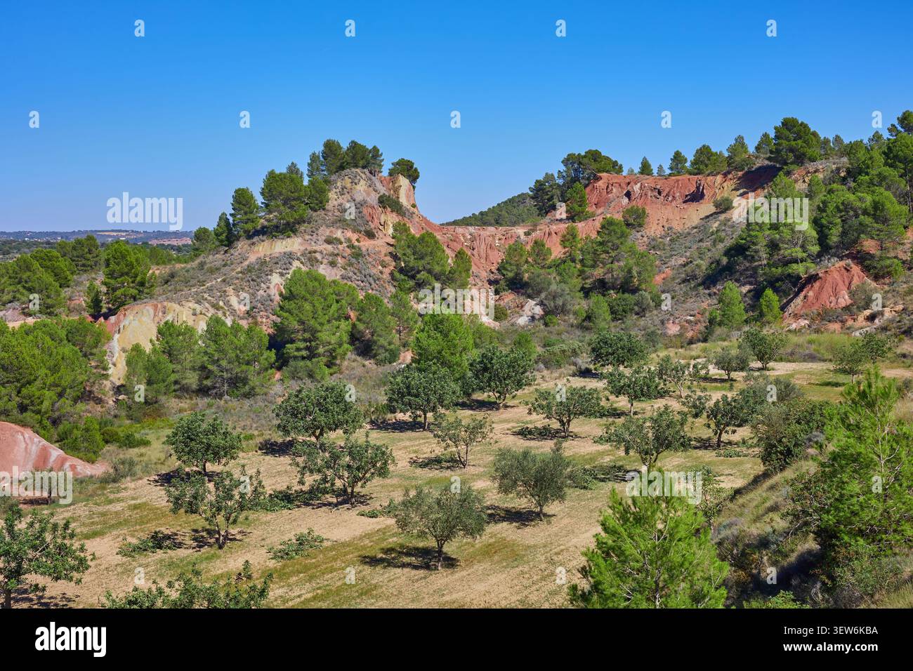 Un frutteto ai piedi di una scogliera ricoperta di alberi Foto Stock