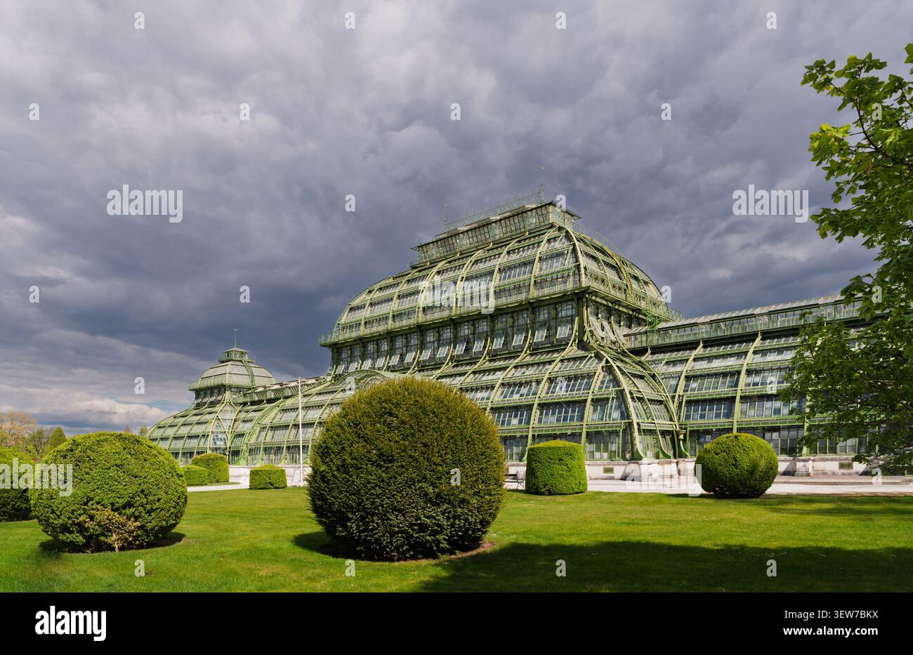 Vista della storica serra della Palm House nel parco del Palazzo Schonbrunn, Vienna, Austria, con la sua impressionante arcata in ferro battuto e vetro Foto Stock