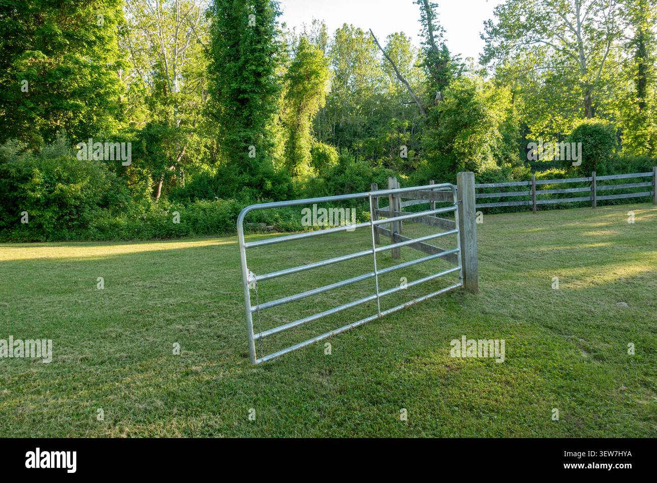 Un cancello aperto in una fattoria nel Connecticut. Foto Stock