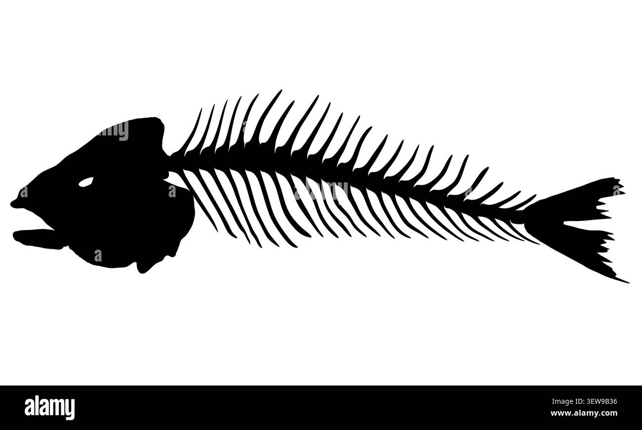 Sagoma liscia a forma di pesce con vista laterale e un aspetto grafico minimalista. Foto Stock